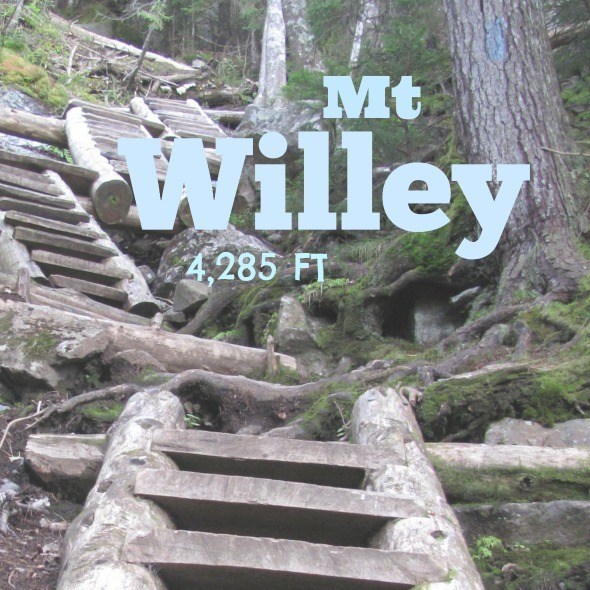 mt willey